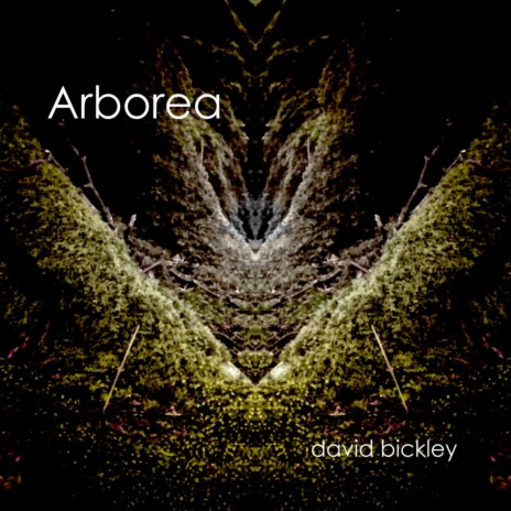 Treading cover art