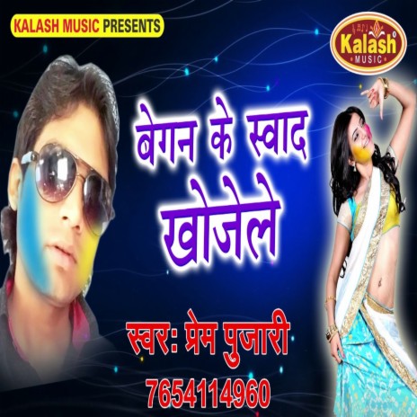 Baigan Ke Swad Khojele cover art