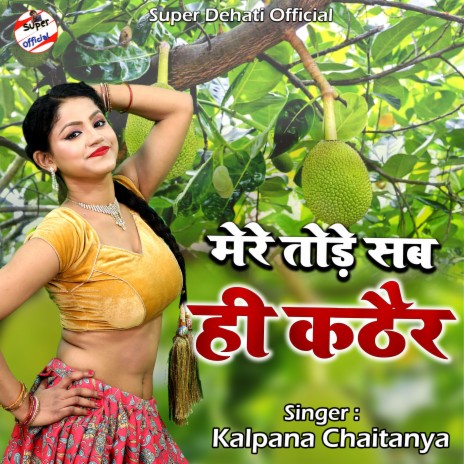 Mere Tode Sab Hi Kathair cover art