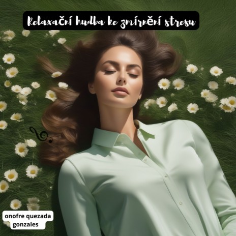 sbohem depresím cover art
