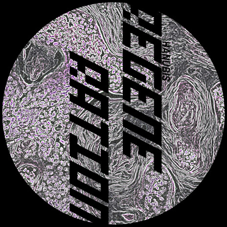 Regeneration (Original Mix) cover art