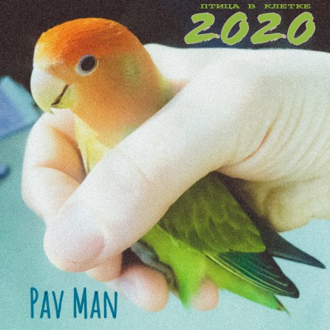 Птица в клетке 2020 cover art