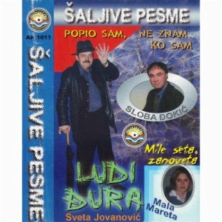 Saljive pesme - Ludi Djura cover art
