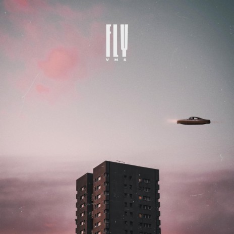 Fly cover art