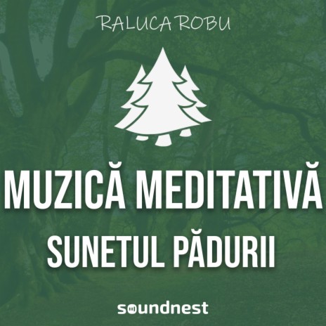 Sunetul padurii, muzica de meditatie