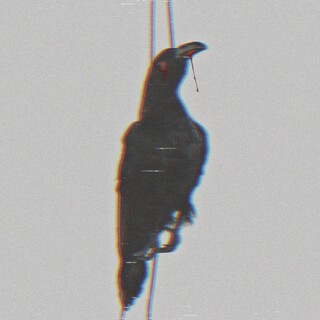 Tümör Gibi cover art