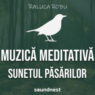 Raluca Robu