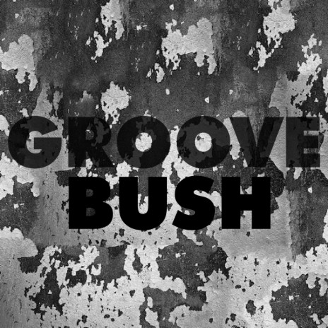 Groove Bush cover art