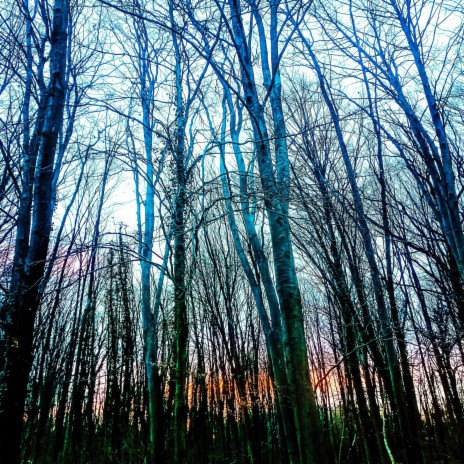 Feelings Of Deception ft. LYHE cover art