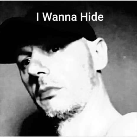 I Wanna Hide cover art