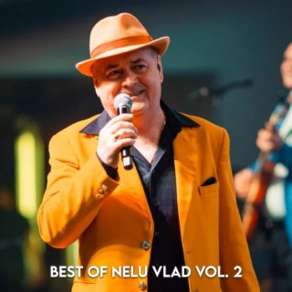 Best of Nelu Vlad Vol. 2