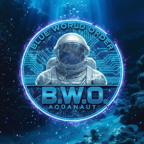 BWO THE BIG SPLASH cover art