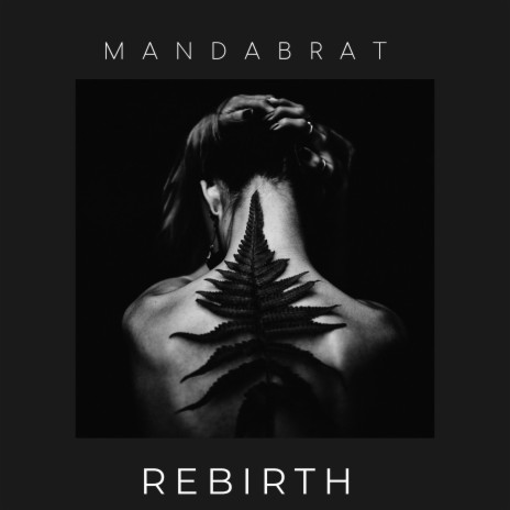 Rebirth cover art