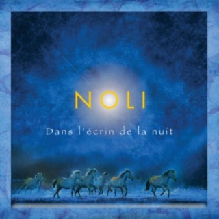 NOLI