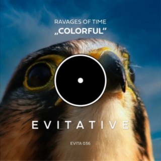 Colorful (Radio Edit) cover art