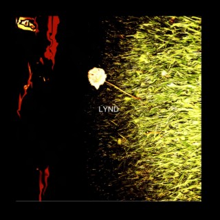 L.Y.N.D.
