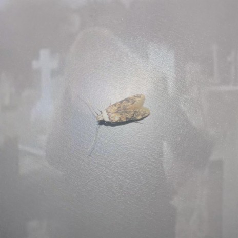 kerosene cover art