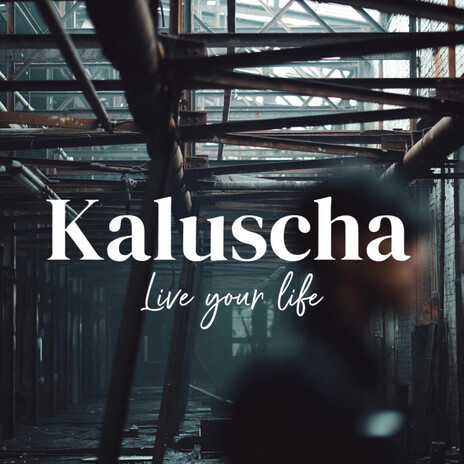 Herz aus Stein (Live) cover art