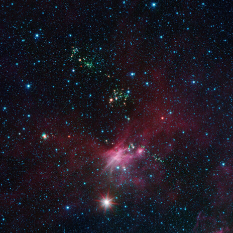 Fallen Stars