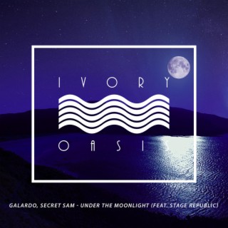 Under the Moonlight ft. Secret Sam & Stage Republic cover art