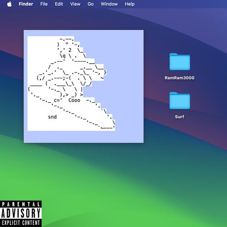 Pro Surfer cover art