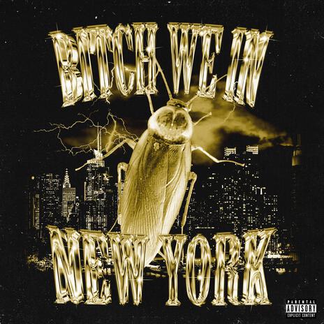 Bitch We In New York cover art