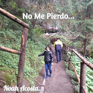 No Me Pierdo...