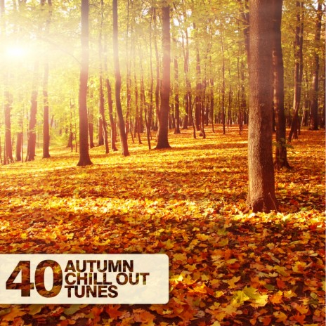 As Faces Fade (Domenico Cascarino & Luca Lombardi Chill Out Remix) cover art