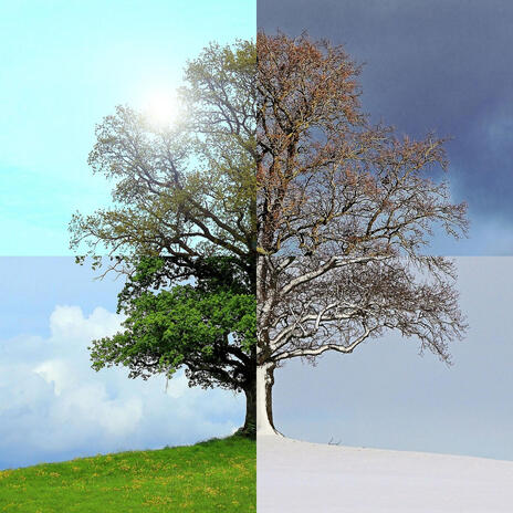 Fall cover art