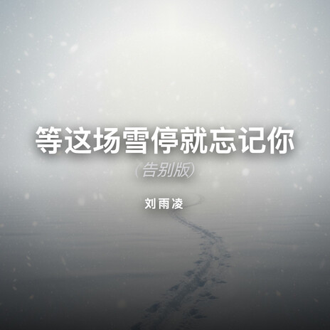 等这场雪停就忘记你 (告别版) cover art