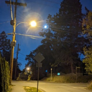 One Star in the Night Sky