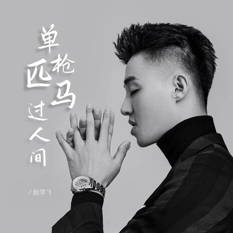 单枪匹马过人间 cover art