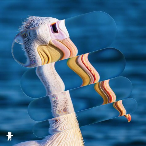 Beak cover art