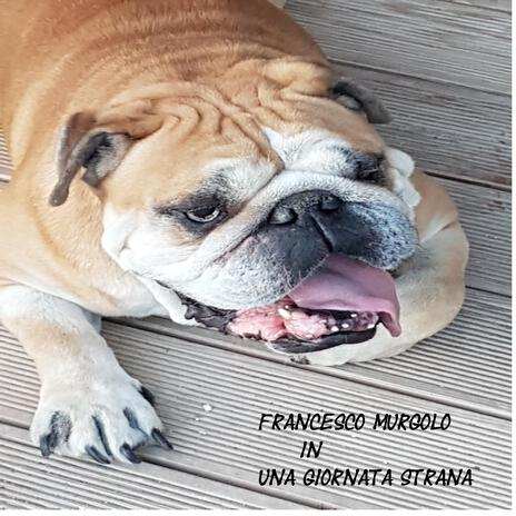 Una giornata strana 1 cover art