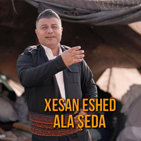 Ala şeda cover art
