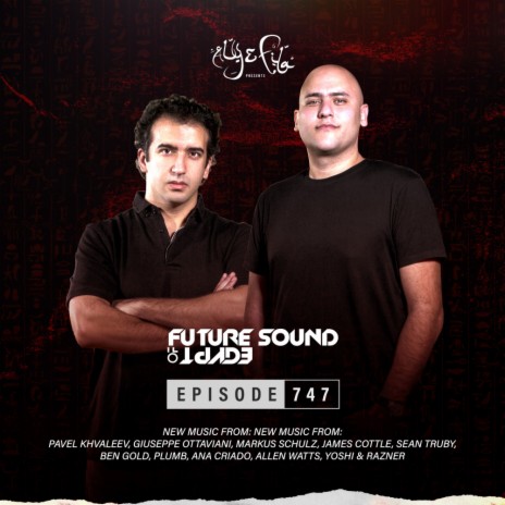Light In The Night (FSOE 747) cover art