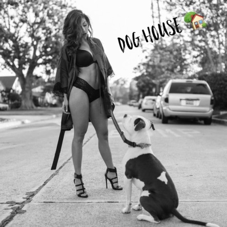 Dog House cover art