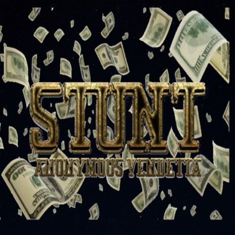 Stunt cover art