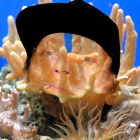 Save the Reef (Before It's a Meme) cover art