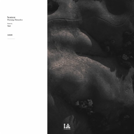 Stilted (Surt Remix) cover art