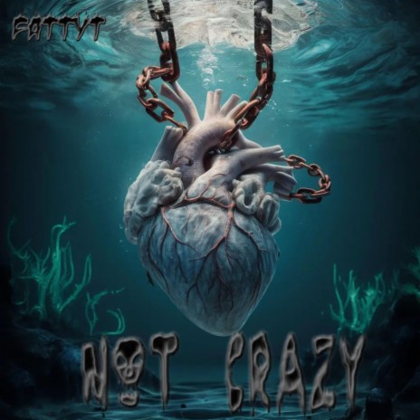 Not Crazy cover art