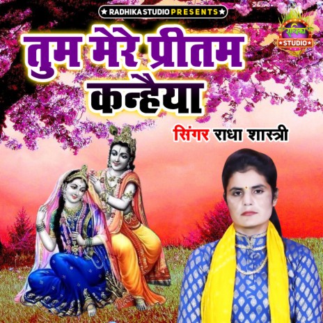 Tum Mere Preetam Kanheya cover art