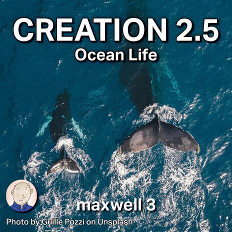 Creation 2.5 (Ocean Life) cover art