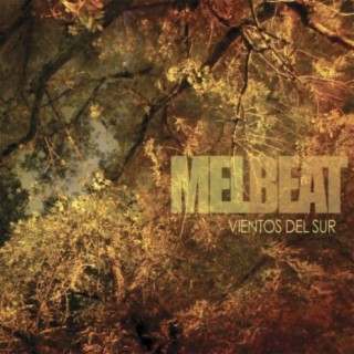 Vientos del sur