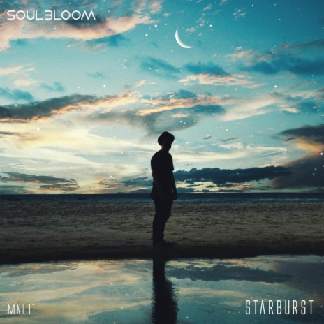 Open Sea (Live) cover art