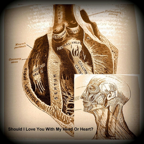 Should I Love You with My Head or Heart? cover art