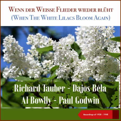 Wenn Der Weiße Flieder Wieder Blüht (From Revue: Donnerwetter, 1000 Frauen) ft. Paul Godwin mit seinen Jazz-Symphonikern cover art