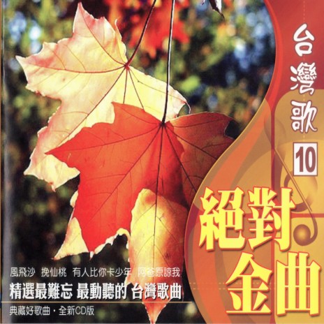 有人比你卡少年 cover art
