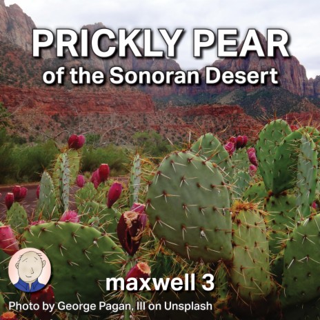 Prickly Pear of the Sonoran Desert cover art