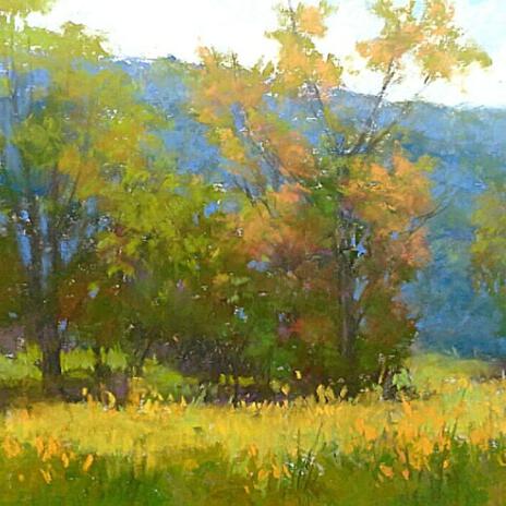 Summer meadow cover art